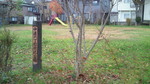 201111291312000.jpg